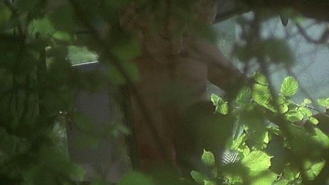 Pic: Debbie Linden in Home Before Midnight (1979)