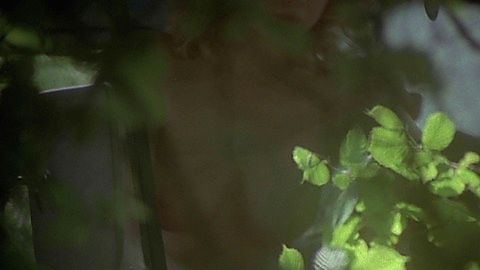 Pic: Debbie Linden in Home Before Midnight (1979)