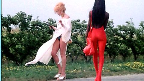 Pic: Delia Boccardo in La mazurka del barone, della santa e del fico fiorone (1975)