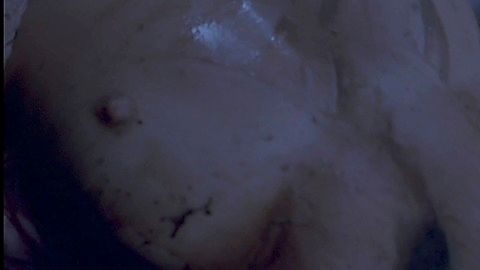 Pic: Conchita Airoldi in Torso (1973)