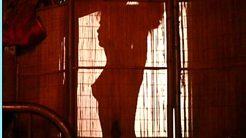 Pic: Suzee Pai in First Blood (1982)