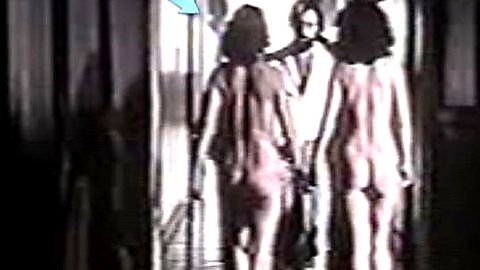 Pic: Dina Sfat in Das Tripas Coração (1982)