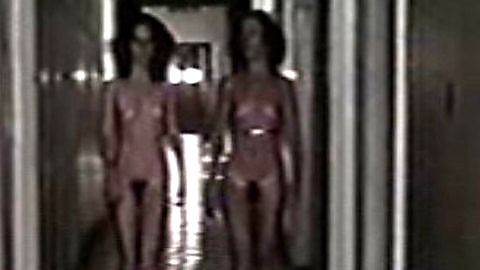 Pic: Dina Sfat in Das Tripas Coração (1982)