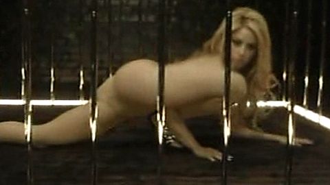 Pic: Shakira  in She Wolf (2009)