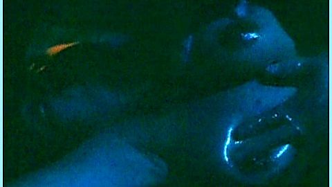 Pic: Kyôko Nakamura in The Bedroom (1992)