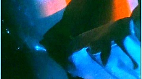 Pic: Kyôko Nakamura in The Bedroom (1992)
