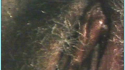 Pic: Catherine Erhardt in Through the Looking Glass (1976)