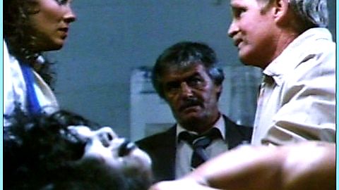 Pic: Diane Sommerfield in The Night Stalker (1987)