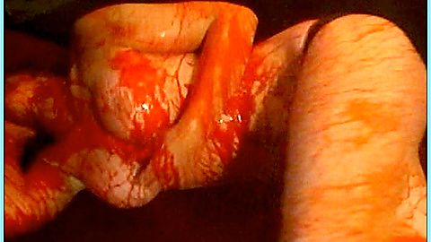 Pic: Carey Sveen in Meat Weed Madness (2006)