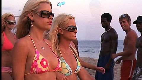 Pic: Sophie Monk in Spring Breakdown (2009)