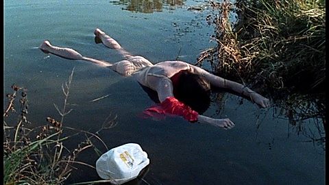 Pic: Mary Demas in Henry: Portrait of a Serial Killer (1986)