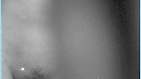 Pic: Miriam Eliot in Kitten in the Cage (1968)