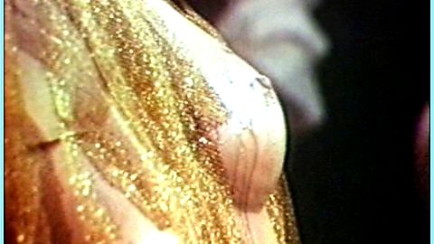 Pic: Caterina Alt in Alle dame del castello piace fare solo quello (1969)