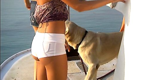 Pic: Sara Jean Underwood in Bridget's Sexiest Beaches (2009)