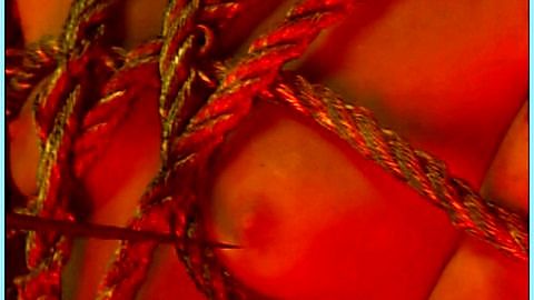 Pic: Caroline Chojnacki in Live Feed (2006)
