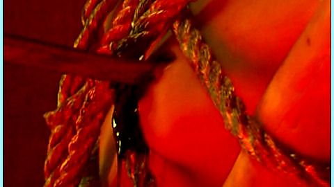 Pic: Caroline Chojnacki in Live Feed (2006)