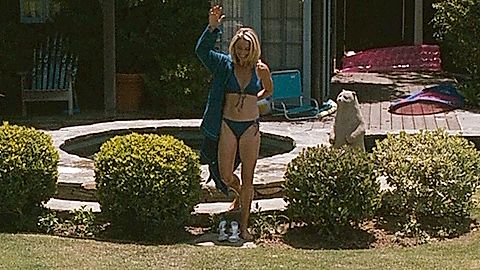 Pic: Katherine LaNasa in Valentine's Day (2010)