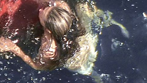 Pic: Ali Hillis in Open Water 2: Adrift (2006)