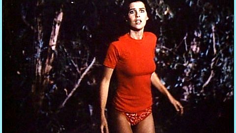 Pic: Karrie Emerson in Evils of the Night (1985)