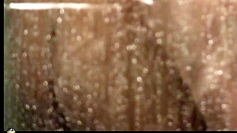 Pic: Jaime Ray Newman in Rubberneck (2013)