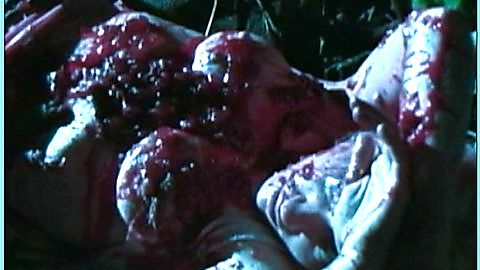 Pic: Lesley Vernot in Chainsaw Sally (2004)