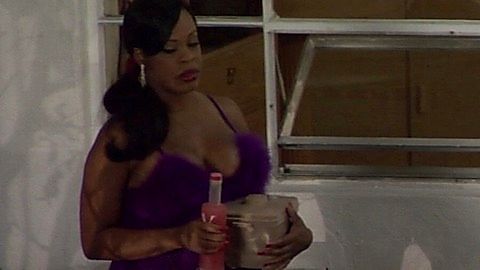 Pic: Niecy Nash in Reno 911!: Miami (2007)