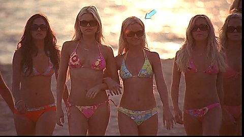 Pic: Amy Poehler in Spring Breakdown (2009)