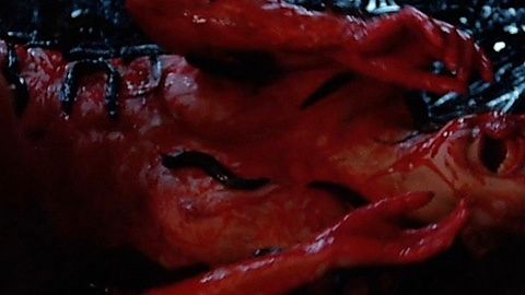 Pic: Kari Rose in Slugs (1988)