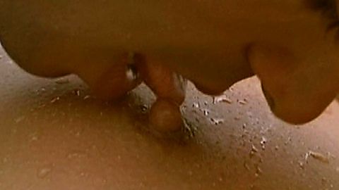 Pic: Lise Thoresen in Intimate Moments (1981)