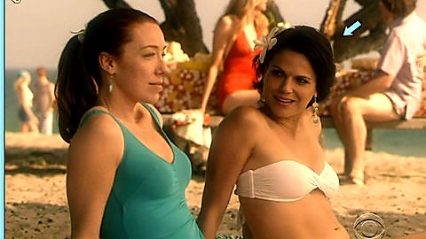 Pic: Lana Parrilla in Swingtown (2008)