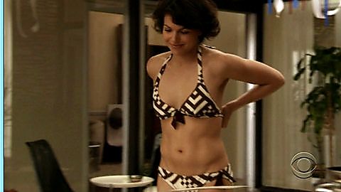 Pic: Lana Parrilla in Swingtown (2008)