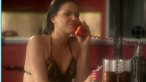 Pic: Lana Parrilla in Swingtown (2008)