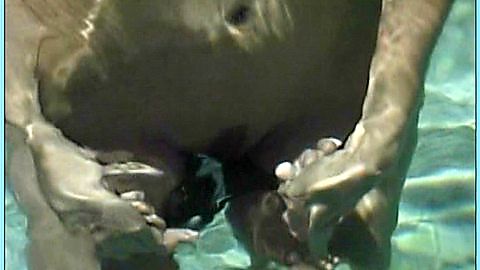 Pic: Charlie Laine in Poolside Heat (2007)