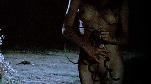 Pic: Charlie Laine in American Fetish (2010)
