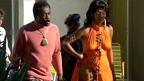 Pic: Nichelle Nichols in Truck Turner (1974)