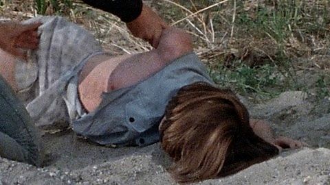 Pic: Jill Voight in Trip with the Teacher (1975)
