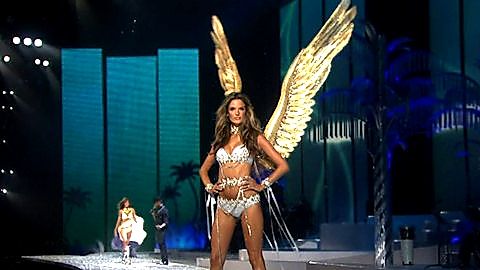 Pic: Alessandra Ambrosio in Victoria's Secret Fashion Show 2008