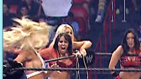 Pic: Michelle McCool in WWE Survivor Series 2007