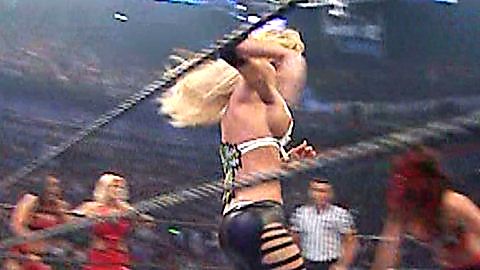 Pic: Michelle McCool in WWE Survivor Series 2007