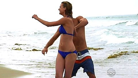 Pic: Emily VanCamp in Revenge