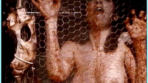 Pic: Maureen Allisse in Roadkill: The Last Days of John Martin (1994)