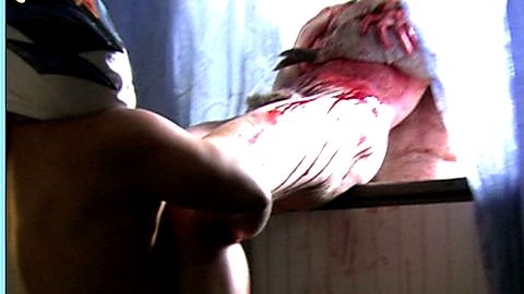 Pic: Amy McGee in Feast II (2008)