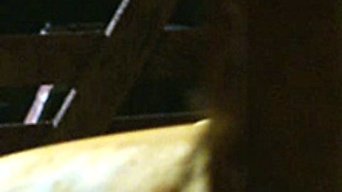 Pic: Tania Raymonde in Texas Chainsaw 3D (2013)