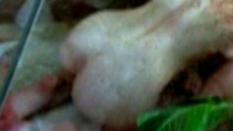 Pic: Annie Body in Tender Is the Heart (2001)