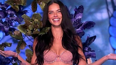 Pic: Adriana Lima in The Victoria's Secret Fashion Show 2015 (2015)