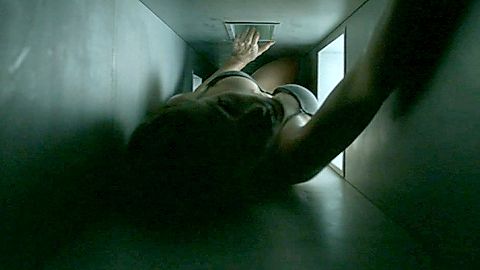 Pic: Janet Montgomery in Human Target (2010)