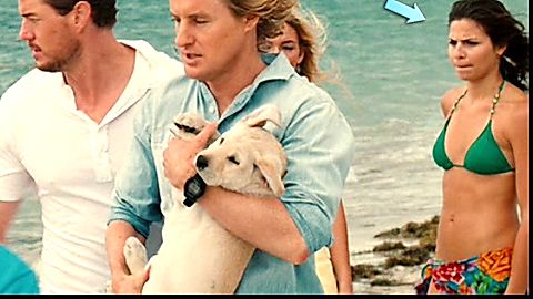 Pic: Ana Ayora in Marley & Me (2008)