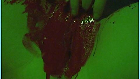 Pic: Lily St. Claire in Blood and Sex Nightmare (2008)