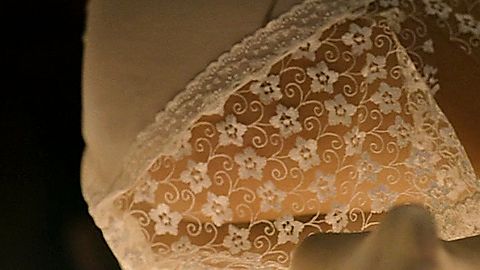 Pic: Sárka Petruzelová in I Served the King of England (2006)