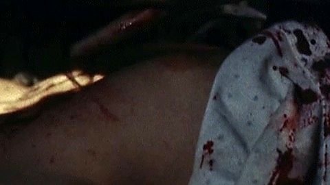 Pic: Elvira Deatcu in Bloodlust: Subspecies III (1993)